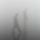 Où le brouillard, la lumière
