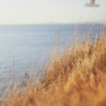 L’esprit de la pause