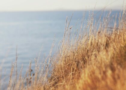 L’esprit de la pause